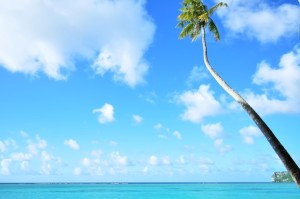 海外